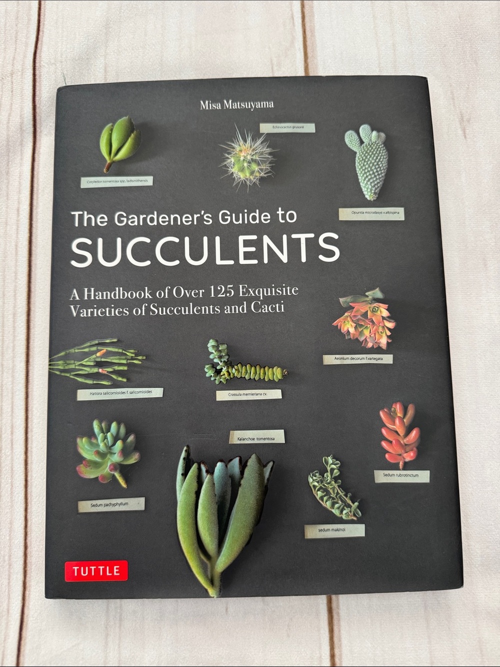 The Gardeners Guide to Succulents book